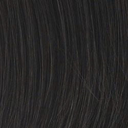 Positivity Wig by Gabor | Synthetic Lace Front (Mono)