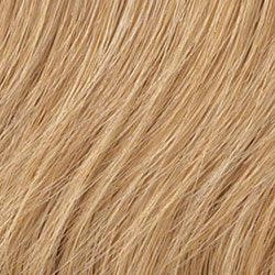 Positivity Wig by Gabor | Synthetic Lace Front (Mono)