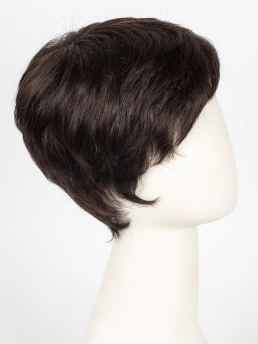 Risk | Synthetic Lace Front Wig (Mono Crown)