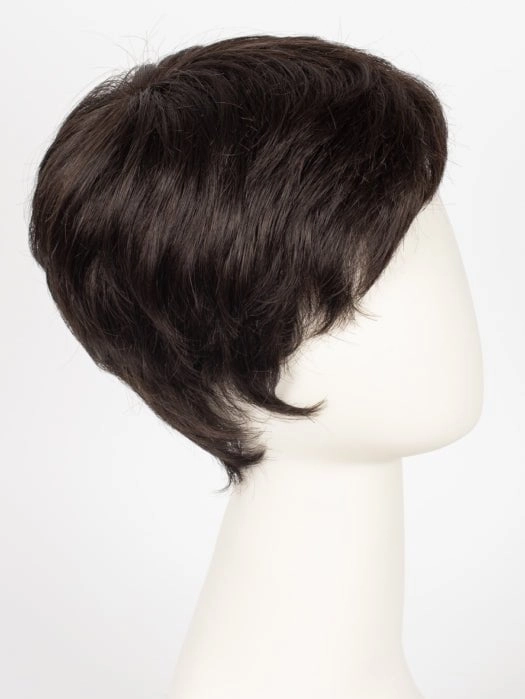Risk | Synthetic Lace Front Wig (Mono Crown)