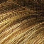 Sam Wig by Envy | Synthetic (Lace Front Mono Top)
