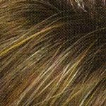 Sam Wig by Envy | Synthetic (Lace Front Mono Top)