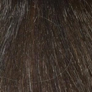Sam Wig by Envy | Synthetic (Lace Front Mono Top)