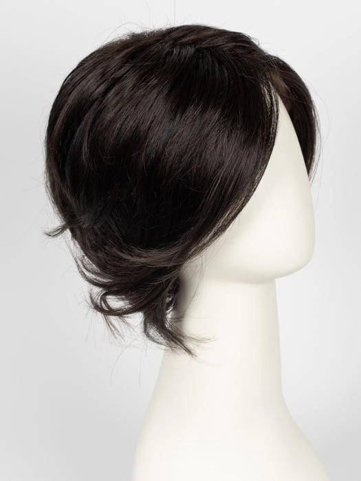 Sheer Elegance | Synthetic Lace Front Wig (Basic Cap)