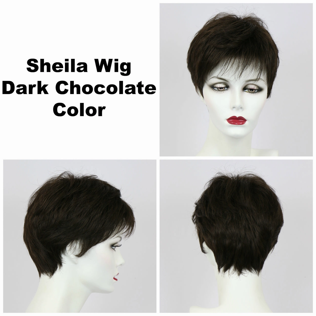 Sheila Large Wig by Godiva Secret Wigs | Synthetic Hair | Large Cap