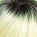 Sienna Lite Wig by Jon Renau | Hand Tied Lace Front Single Mono
