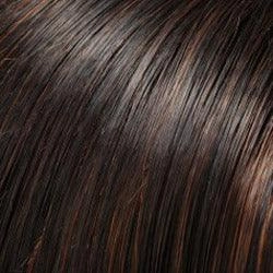 Skylar Wig by Jon Renau | Synthetic Lace Front (Mono Top)