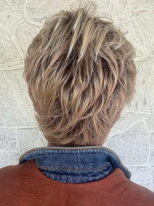 Swept Back Short Cut | Synthetic Wig (Basic)