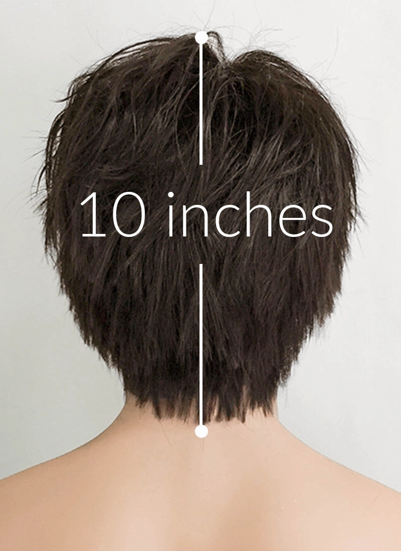 The Sandman Brunette Straight Pixie Lace Front Synthetic Men's Wig LF1312A