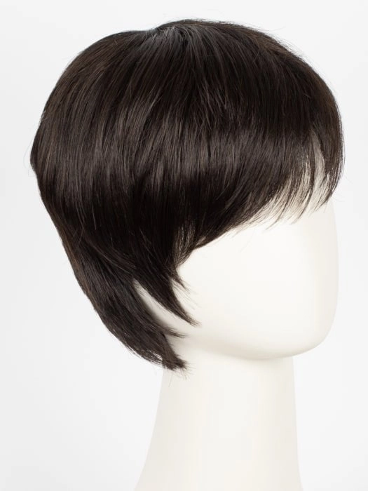 Tool | Short Synthetic Wig (Mono Crown)