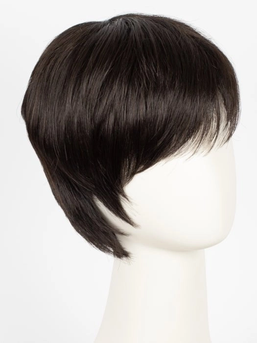 Tool | Short Synthetic Wig (Mono Crown)
