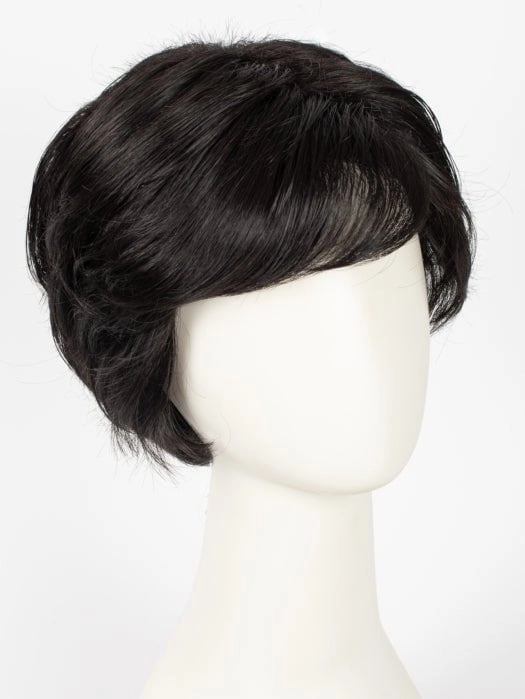 Vanessa | HF Synthetic Lace Front Wig (Basic Cap)