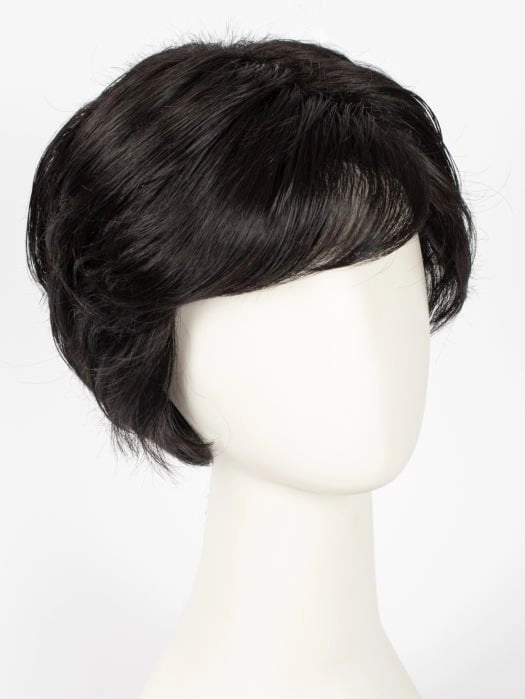 Vanessa | HF Synthetic Lace Front Wig (Basic Cap)