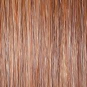 Wavy Day Wig by Raquel Welch | Synthetic Lace Front (Mono Top)