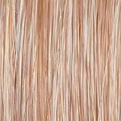Wavy Day Wig by Raquel Welch | Synthetic Lace Front (Mono Top)