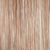 Wavy Day Wig by Raquel Welch | Synthetic Lace Front (Mono Top)