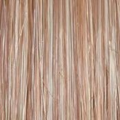 Wavy Day Wig by Raquel Welch | Synthetic Lace Front (Mono Top)