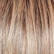 Wavy Day Wig by Raquel Welch | Synthetic Lace Front (Mono Top)