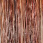 Wavy Day Wig by Raquel Welch | Synthetic Lace Front (Mono Top)