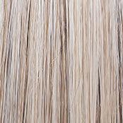 Wavy Day Wig by Raquel Welch | Synthetic Lace Front (Mono Top)