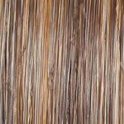 Well Played Wig by Raquel Welch | Synthetic Lace Front Partial (Mono)